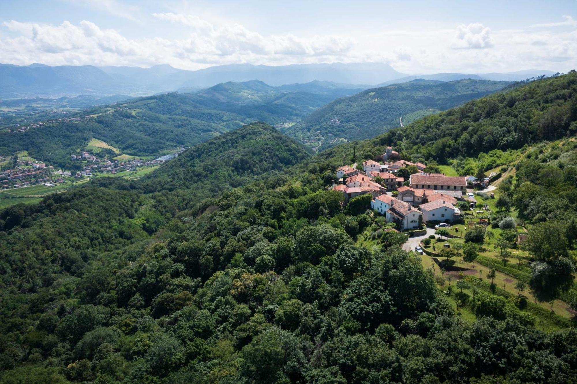 Villa Artes With Free Hot Tub & Sauna Branik Exteriör bild